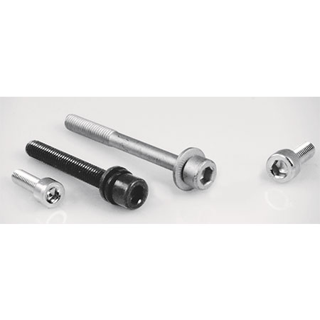 Hexagon Socket Head Bolt